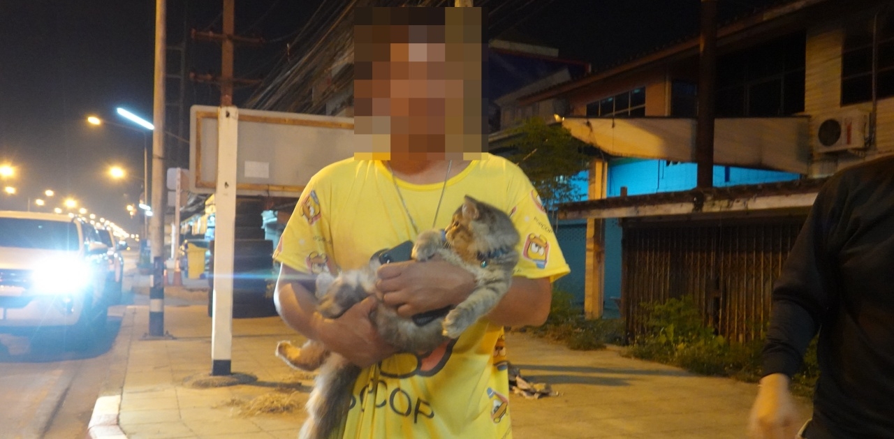 คนเมารักแมว ขับกระบะชนท้ายเก๋ง ร้องไห้ตามหาเหมียว ไม่สนใจคู่กรณี