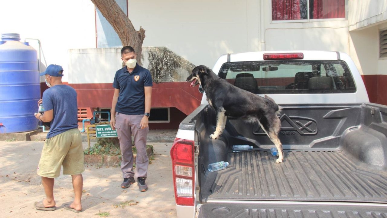 ตร.ปราจีนบุรี รวบแก๊งขโมยสายไฟ สุดสงสารสุนัขคนร้ายวิ่งตามเจ้าของไปโรงพัก