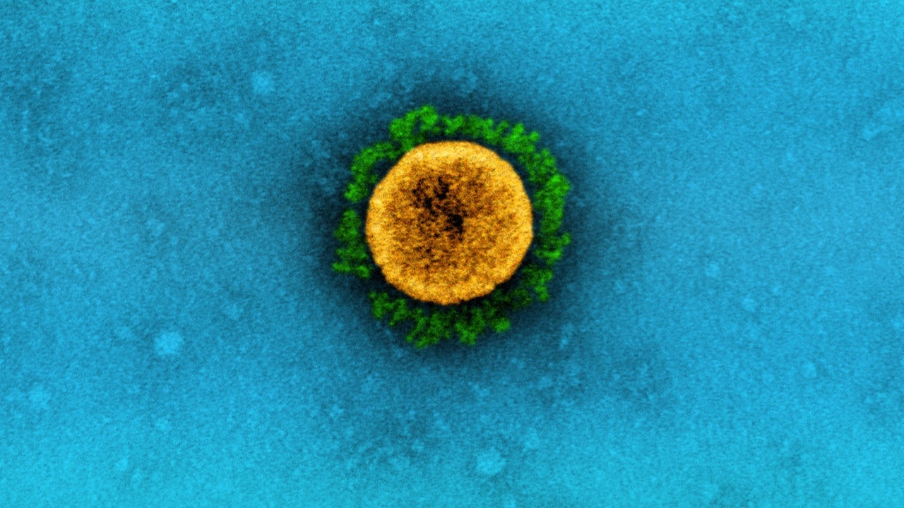 จับตาโอมิครอนสายพันธุ์ย่อย ‘BA.2’ พบแล้ว 8,000 รายใน 40 ประเทศ