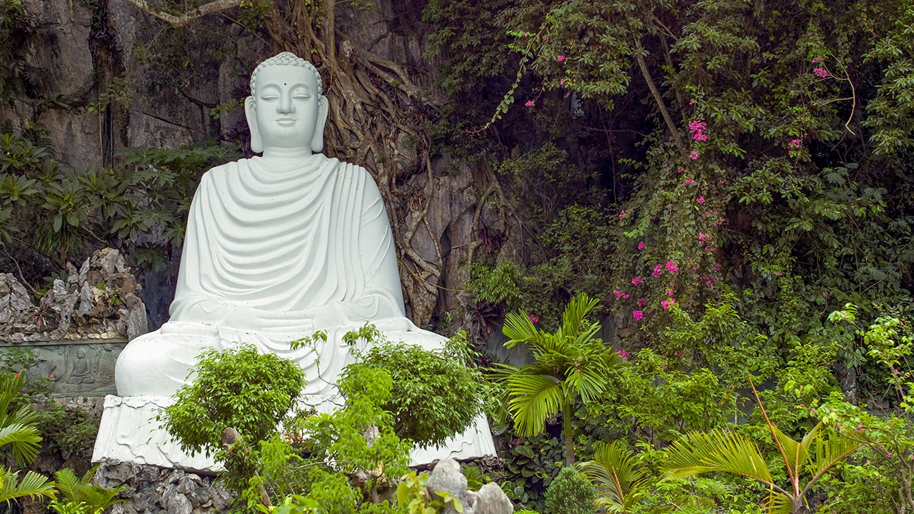 พุทธเวียดนาม (1)