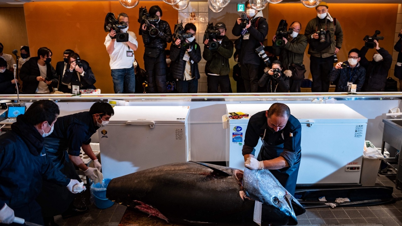 ญี่ปุ่นเปิดประมูลทูน่ายักษ์รอบแรกของปี มูลค่าสูงสุดเกือบ 5 ล้าน