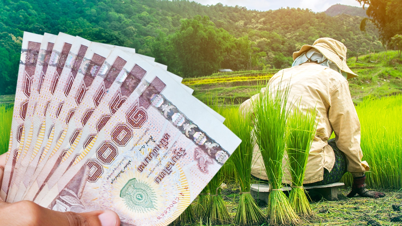 ปี 64 เกษตรกรไทยมีทรัพย์สิน-หนี้สินครัวเรือนเพิ่ม