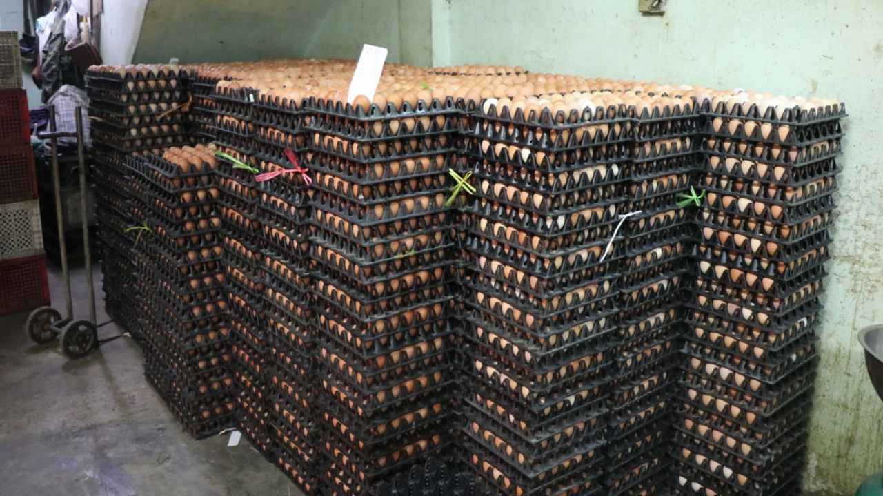 ไข่ไก่ขึ้นราคา ทั่วไทยเจอผลกระทบ เดือดร้อนทั้งคนซื้อคนขายลามยันคนเลี้ยง 