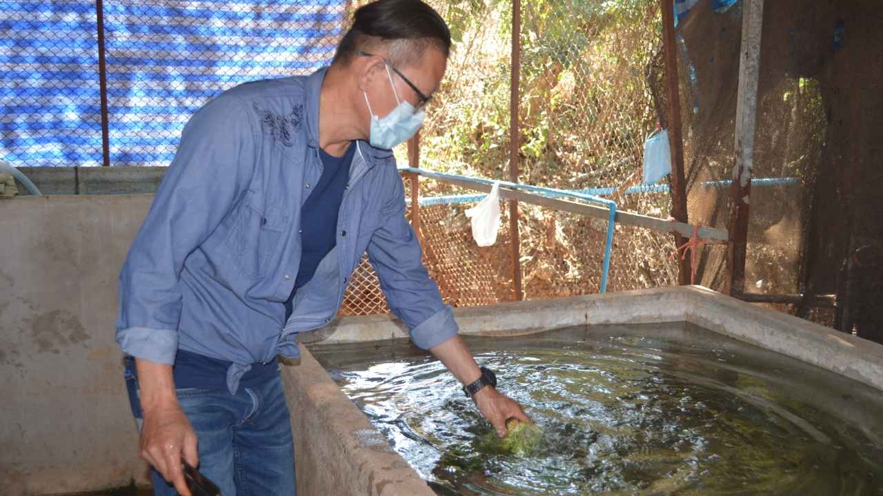 สสจ.สระแก้ว ตรวจบ่อผักดองดราม่าไม่พบปนเปื้อน เจ้าของรับผิดพร้อมปรับปรุง