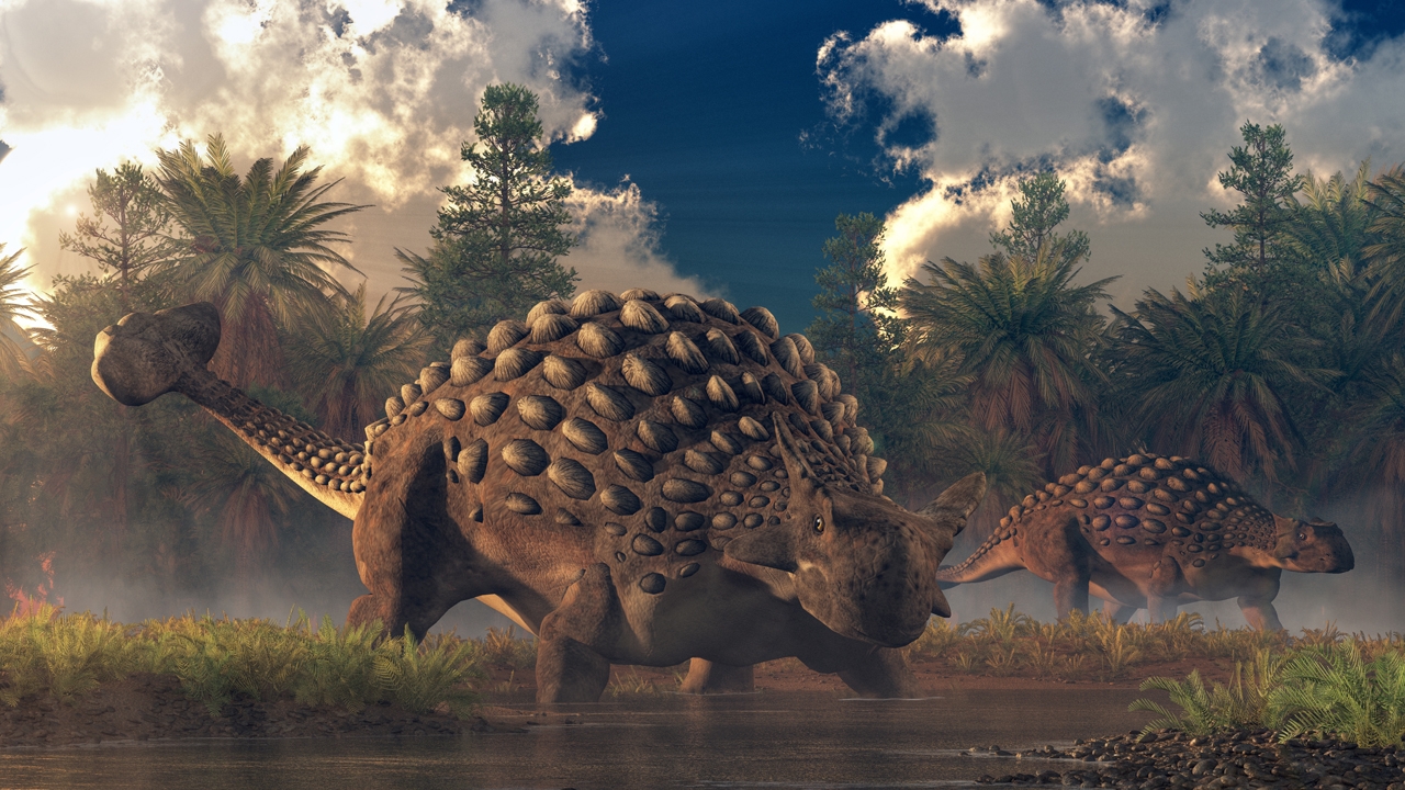 ไดโนเสาร์กลุ่มแองคิโลซอร์ มีความเชื่องช้าและหูหนวก