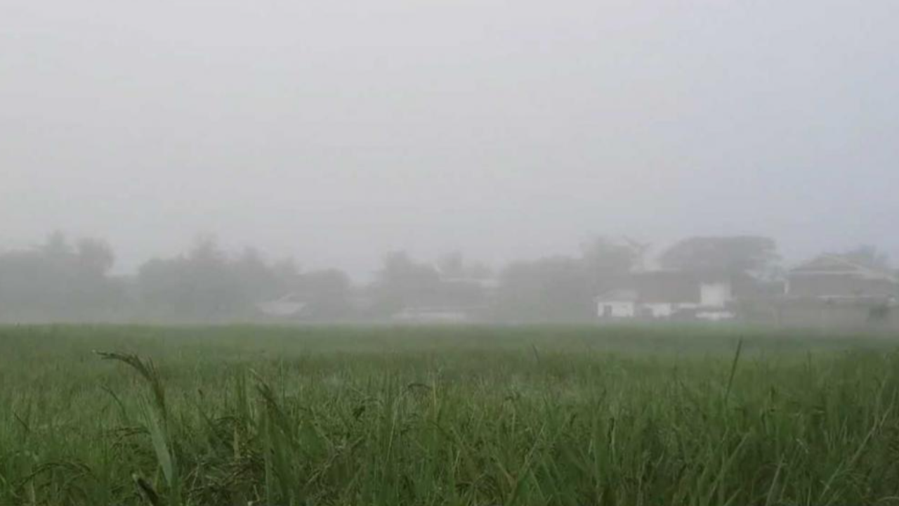 สภาพอากาศวันนี้ ไทยบนยังเย็น พรุ่งนี้ "เหนือ-อีสาน" รับมือฝนฟ้าคะนอง