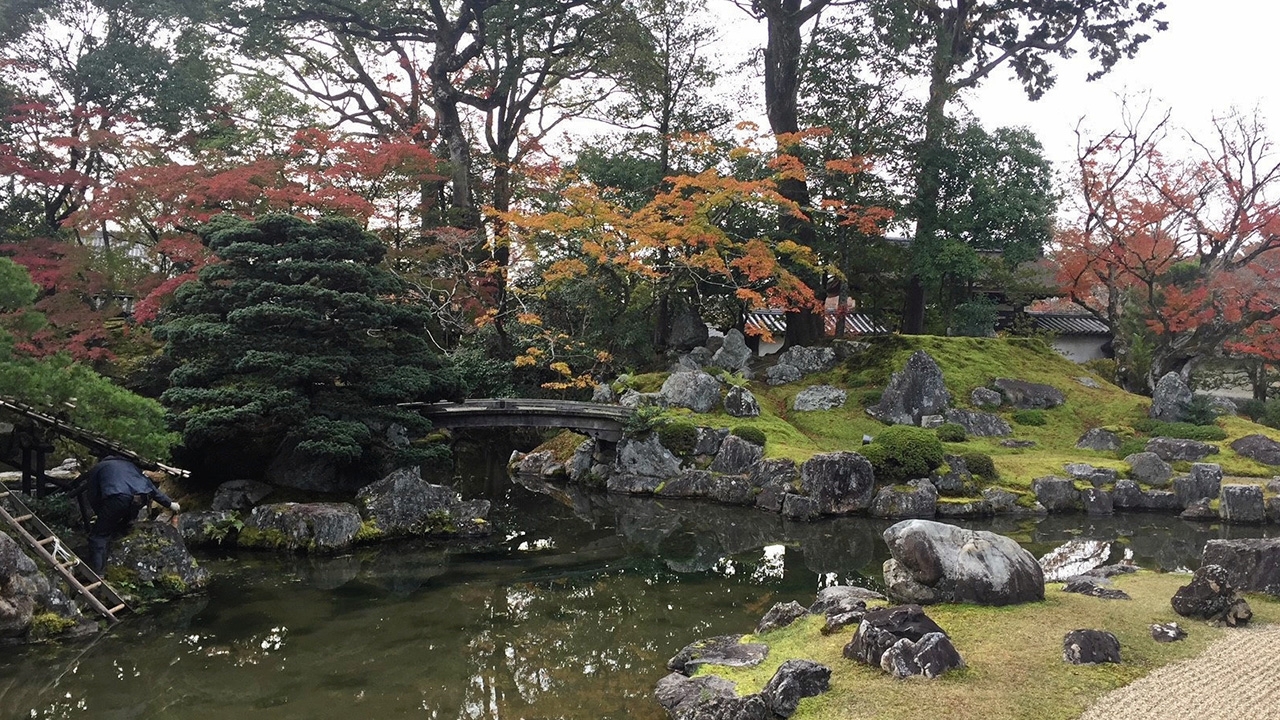 สวนญี่ปุ่น (2)