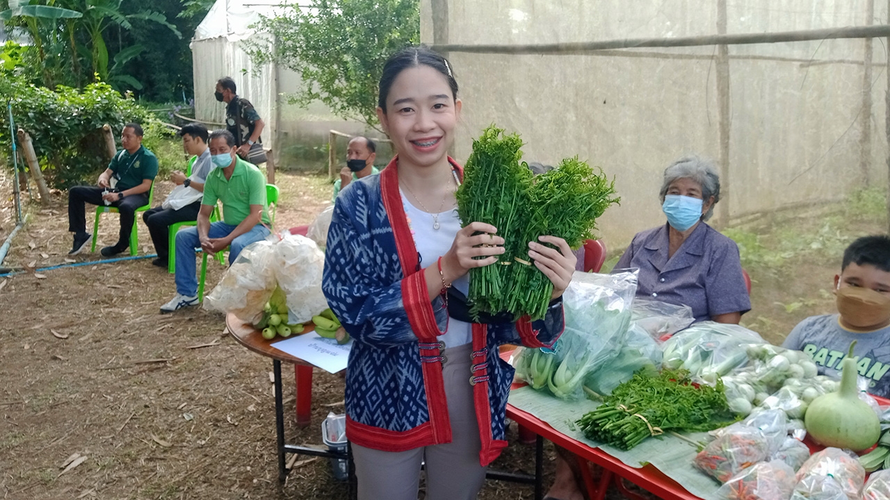 ผักกูด เห็ดตับเต่า หางนกยูง คนอยู่กับป่าสร้างเงินได้ทุกวัน