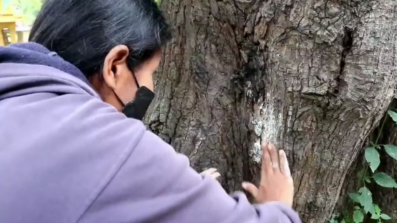 นักเสี่ยงโชคขอเลขเด็ด เจ้าแม่ตะเคียนวัดดัง หวังนำไปลุ้นโชคงวด 1/12/64