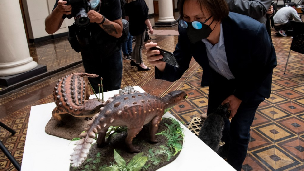 ชิลีพบไดโนเสาร์หุ้มเกราะขนาดเล็กชนิดใหม่ มีหางเป็นอาวุธอันตราย