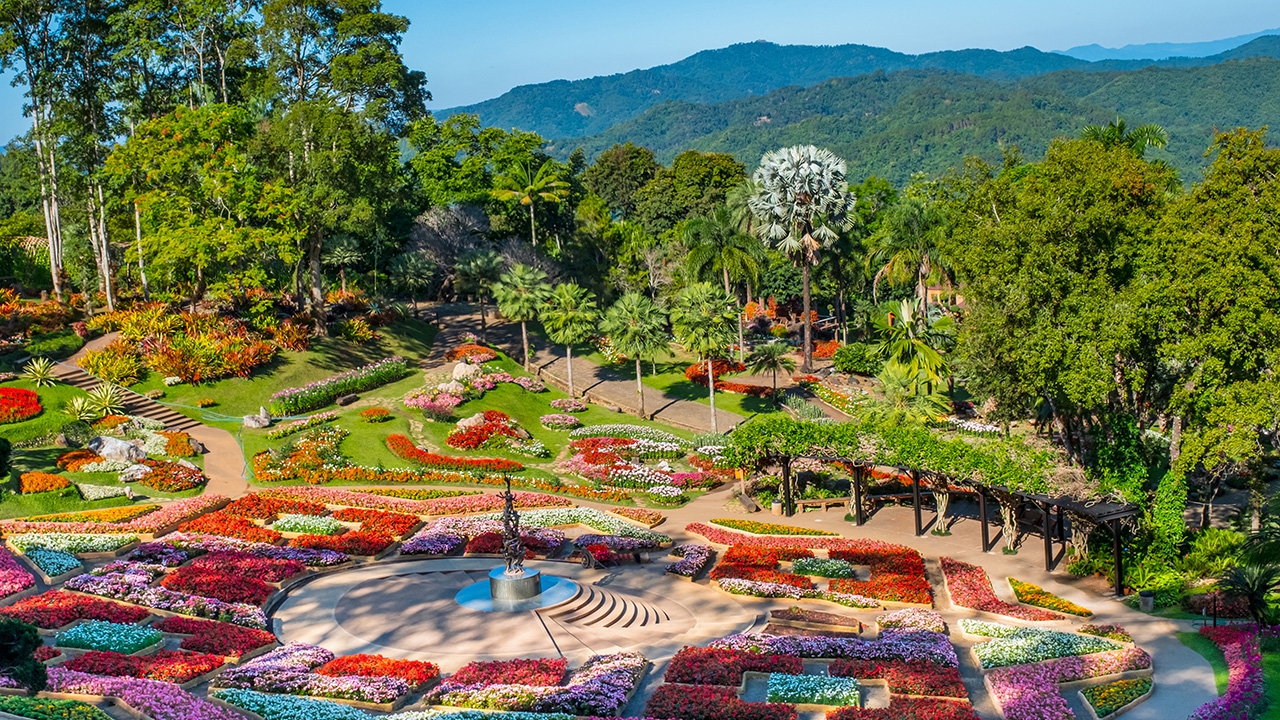 ชวนเที่ยวงานสีสันดอยตุง กลับสู่อ้อมกอดธรรมชาติ