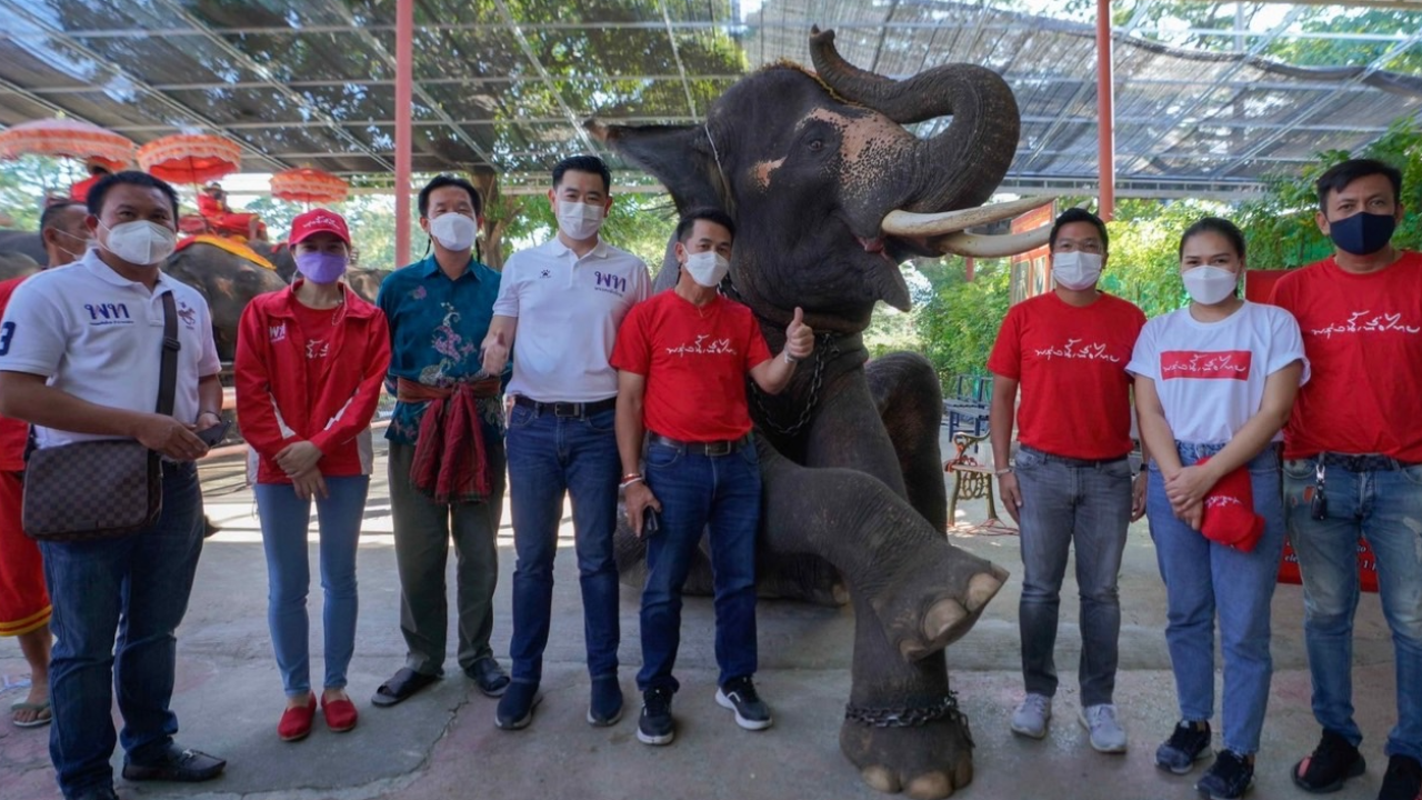 เพื่อไทย ร้องรัฐ ช่วยฟื้นสินเชื่อดอกเบี้ยต่ำ ต่อลมหายใจช้างตกงาน
