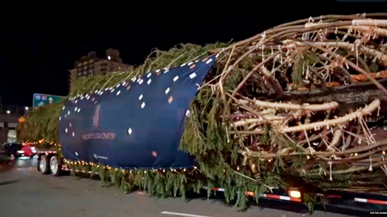  สุดอลังฯ นิวยอร์กเริ่มติดตั้งต้นคริสต์มาสยักษ์ตกแต่งจัดเต็ม