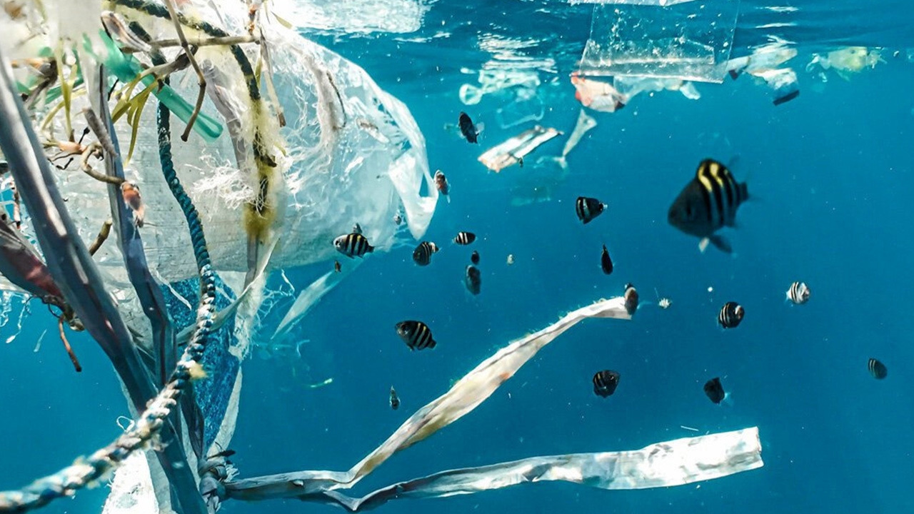 ถึงเวลาแล้วที่ขยะทางการแพทย์ หรือพลาสติกจะต้องถูกจัดการอย่างเป็นระบบ