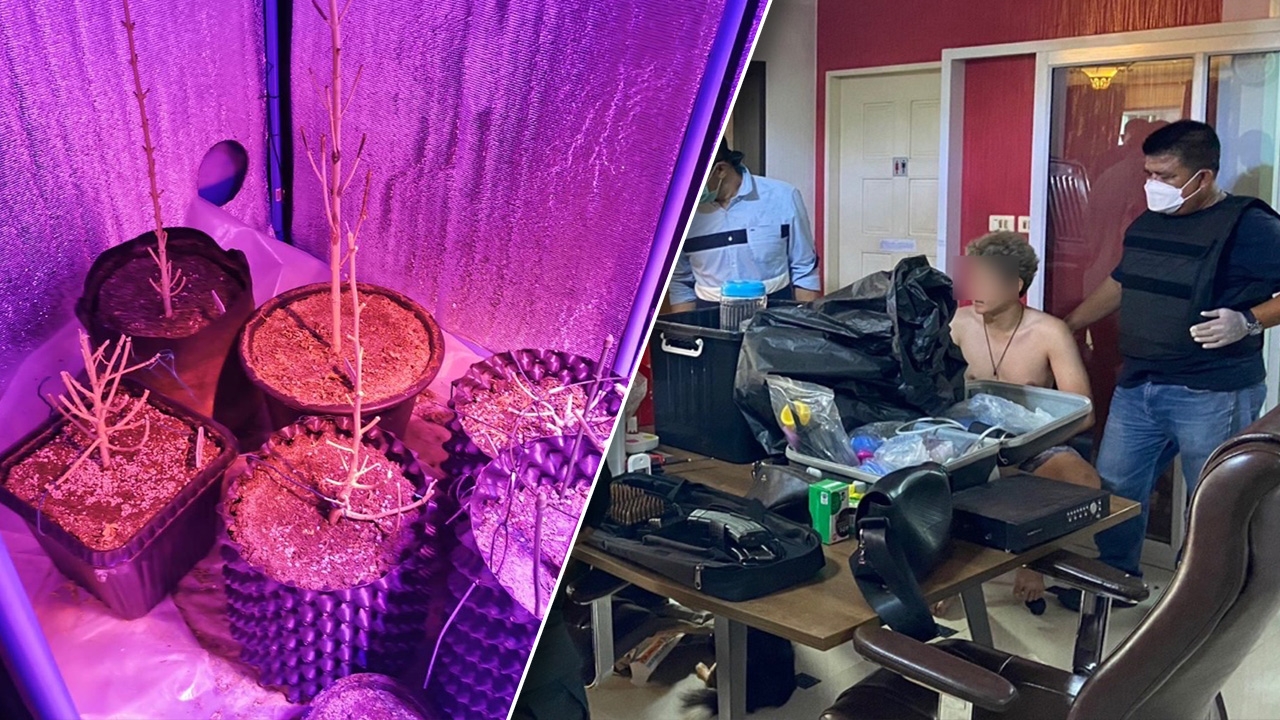 สืบภาค 1 ทลายแหล่งปลูกกัญชาออร์แกนิก ในหมู่บ้านหรูเมืองปทุมธานี