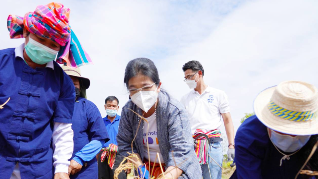 "เจ๊หน่อย" ลงแขกเกี่ยวข้าว ฟังเสียงชาวนา ไม่คุ้มทุน ประกันรายได้ ไม่เอื้อ
