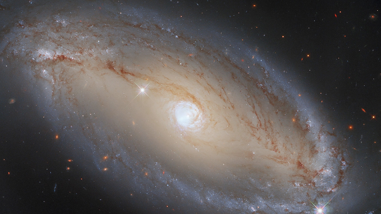 กล้องโทรทรรศน์อวกาศฮับเบิลส่องกาแล็กซี ประเภทเซย์เฟิร์ต