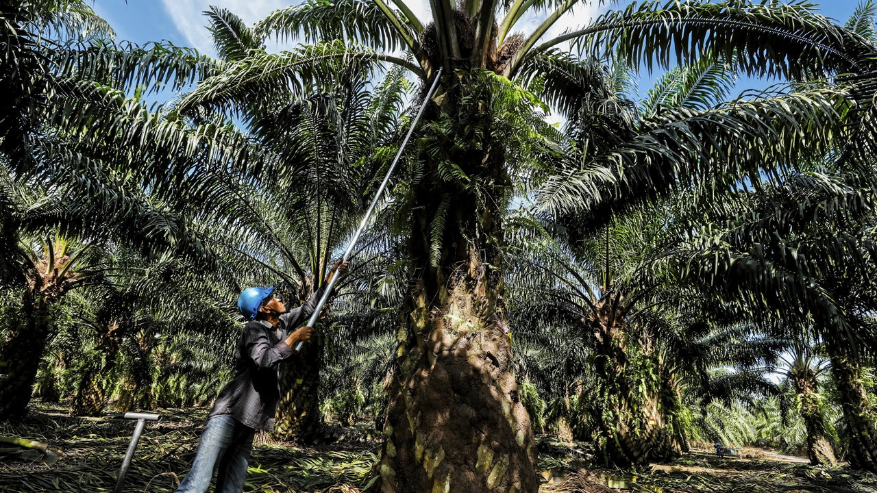 มายากลปรับลดสูตรไบโอดีเซล ใครได้..เกษตรกรเสียแน่ๆ (2)