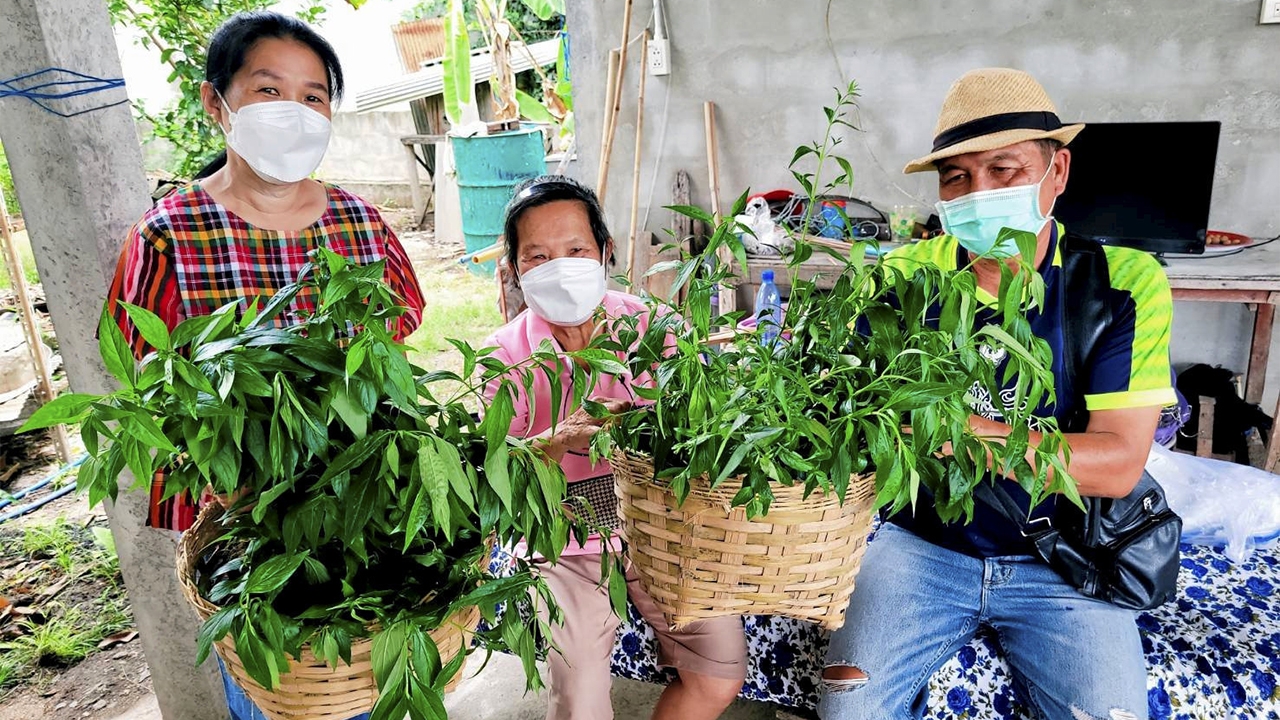 ธนาคารอาหารเป็นยา สวนผักชุมชนสู้โควิด