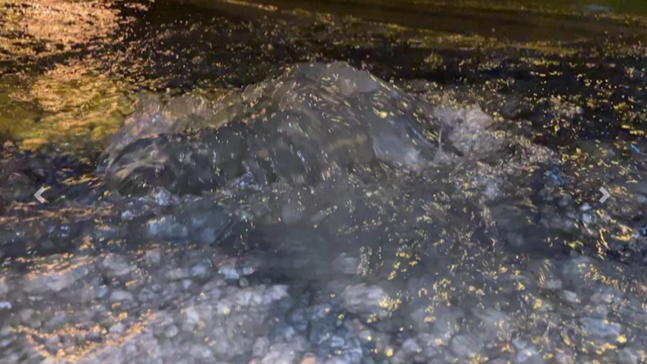 เตือนอย่าดื่ม "น้ำผุด" หวั่นรับสารพิษ ป่วยโรคท้องร่วง อันตรายต่อสุขภาพ