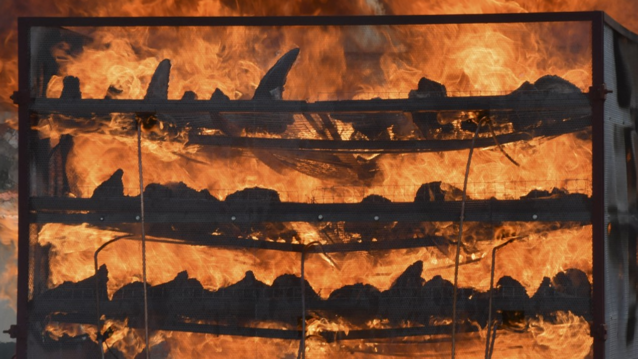 อินเดียเผาทำลายนอแรด 2,500 ชิ้น สร้างความตระหนักในการอนุรักษ์แรด