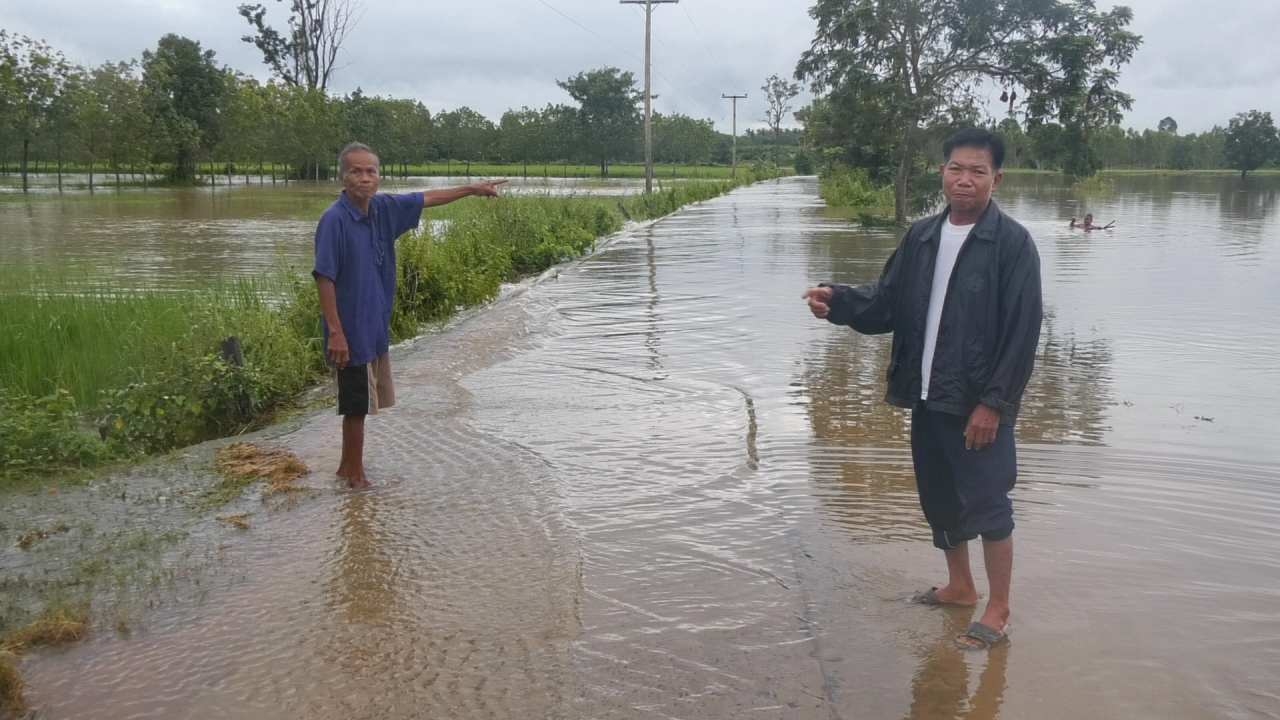พายุเตี้ยนหมู่ พาชาวนาสุรินทร์ได้เฮ น้ำไหลเข้านาข้าวที่กำลังยืนต้นตาย 