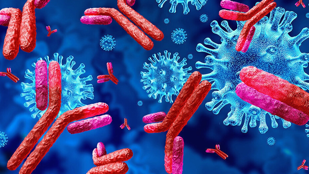 “ออโตแอนติบอดี” (autoantibodies) เมื่อร่างกายหันมาทำร้ายตัวเอง