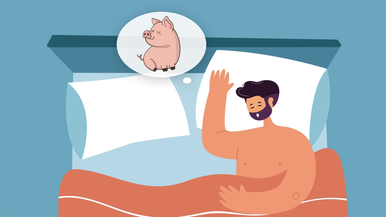 ฝันว่าเห็นหมู เอ๊ะ หมายถึงอะไร