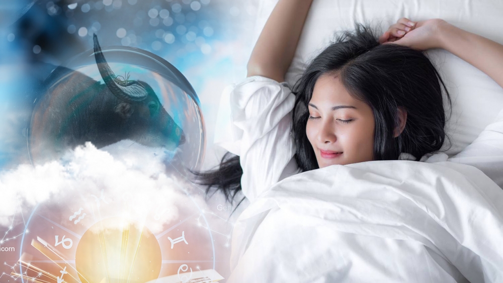 .ทำนายฝันเห็นสัตว์ สิ่งสกปรก การร่วมเพศ เสียของรัก ความหมาย เลขเด็ด.