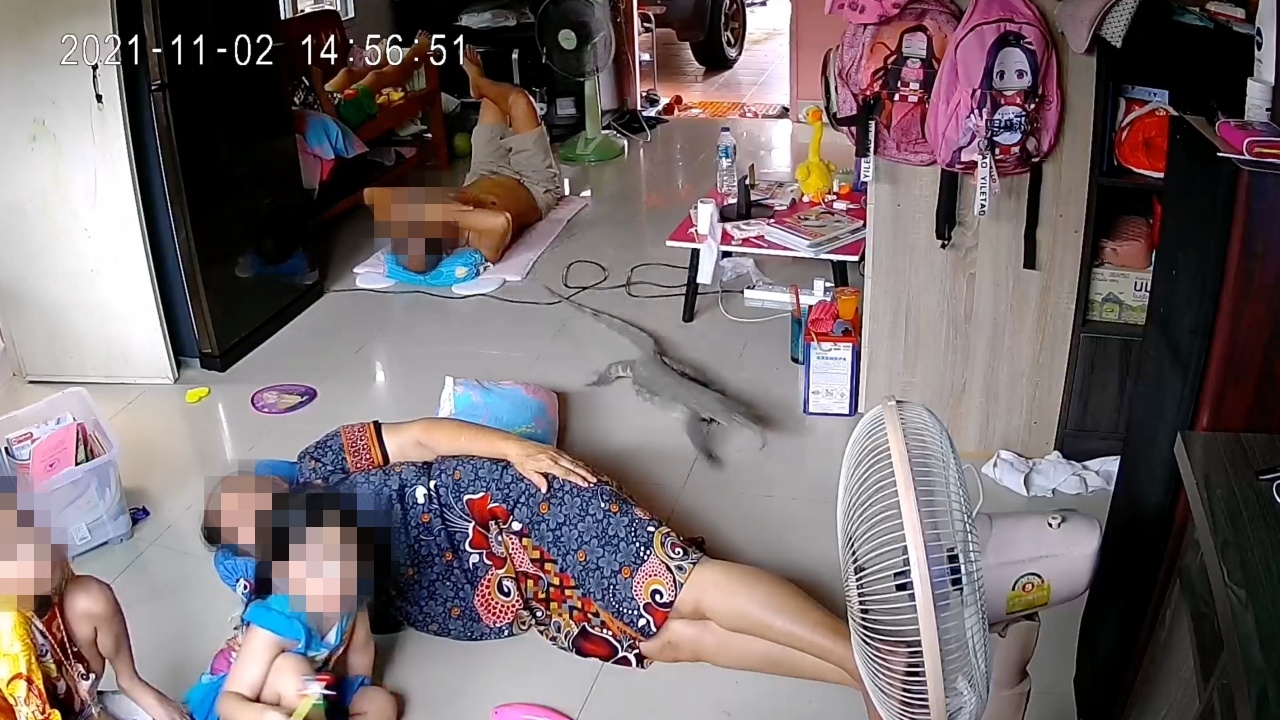 น้องมาจากไหน ตัวเงินตัวทอง บุกบ้าน ผ่านเจ้าของไปเฉย (คลิป)