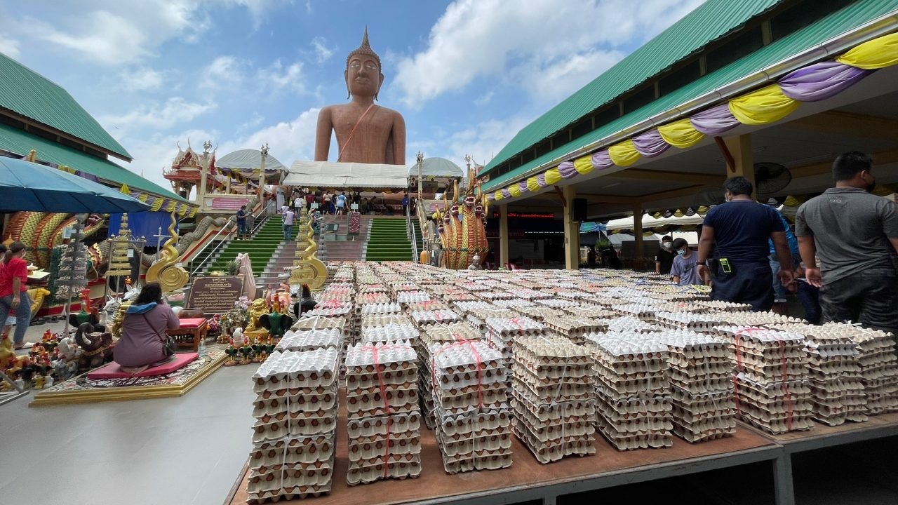 ผัวเมีย แก้บนไข่ไก่ 8 หมื่นฟอง "หลวงพ่อสมหวัง" เชื่อช่วยให้ขายที่ดินได้