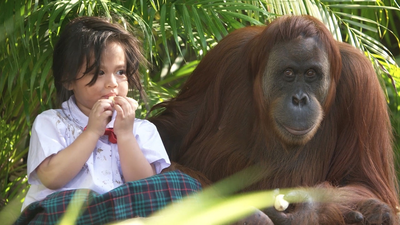 บุกป่าหา "แม่มา" เปิดฉากแรก "ธิดาวานร" สุดระทึก "ปิ่น" หนีตายเสี่ยงตกหน้าผา
