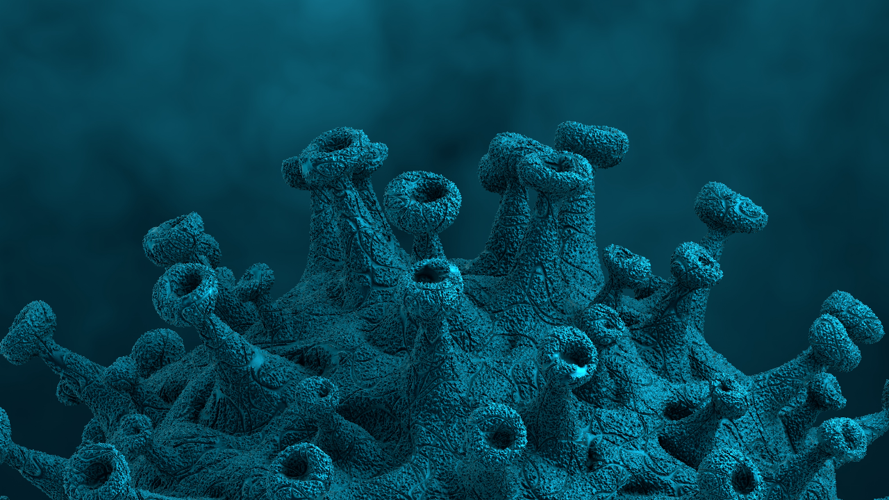 โควิดวันนี้ 16 ต.ค.64 ยอดผู้ติดเชื้อรายใหม่ 10,648 ราย ดับเพิ่ม 82 ศพ