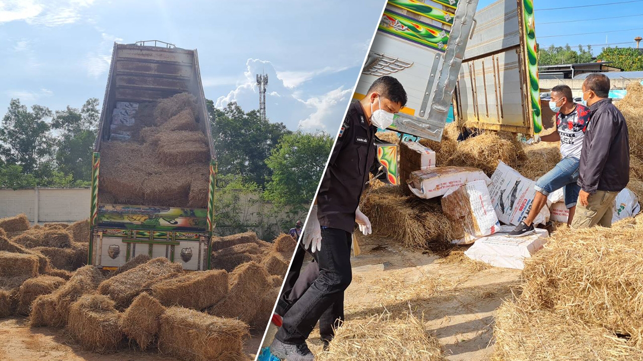 ดีเอสไอ จับลอตใหญ่กัญชา 1 ตัน มูลค่า 50 ล้าน ซุกอยู่ใต้กองฟางรถบรรทุก