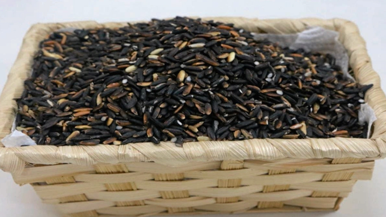 สีย้อมอสุจิจากข้าวเหนียวดำ ลดการนำเข้า..หนึ่งเดียวในโลก