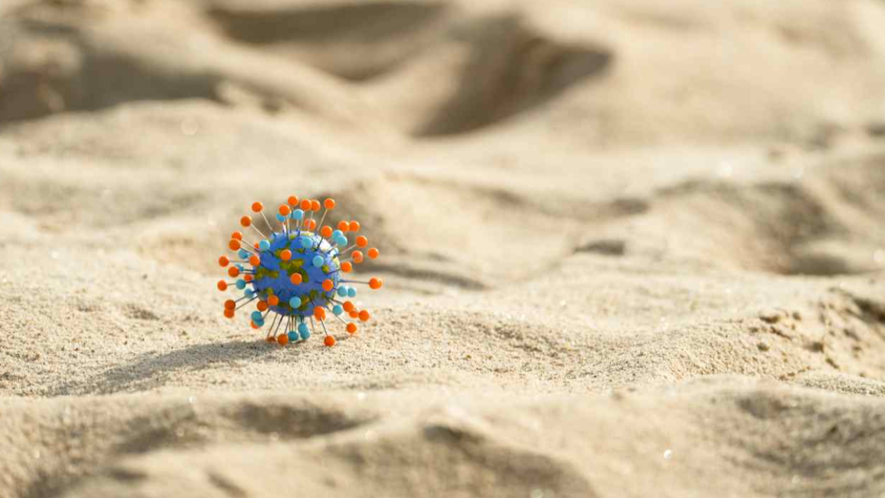 ถอดศัพท์นายกพูดถึง “แซนด์บ็อกซ์ (Sandbox)” แปลว่าอะไร