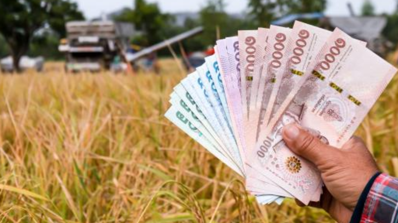 เกษตรกรเฮ! หลัง ครม.อนุมัติ ประกันรายได้ ปี 3 วงเงิน 27,000 ล้านบาท
