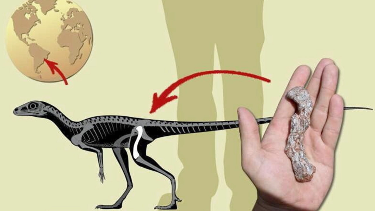 บรรพบุรุษไดโนเสาร์ ที่เก่าแก่ที่สุดในอเมริกาใต้