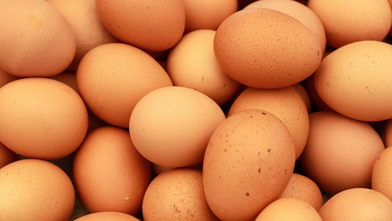 วิกฤติราคาไข่ไก่แพง ฟาร์มไก่ไข่เจอต้นทุนพุ่งหนักสุดในรอบ 60 ปี