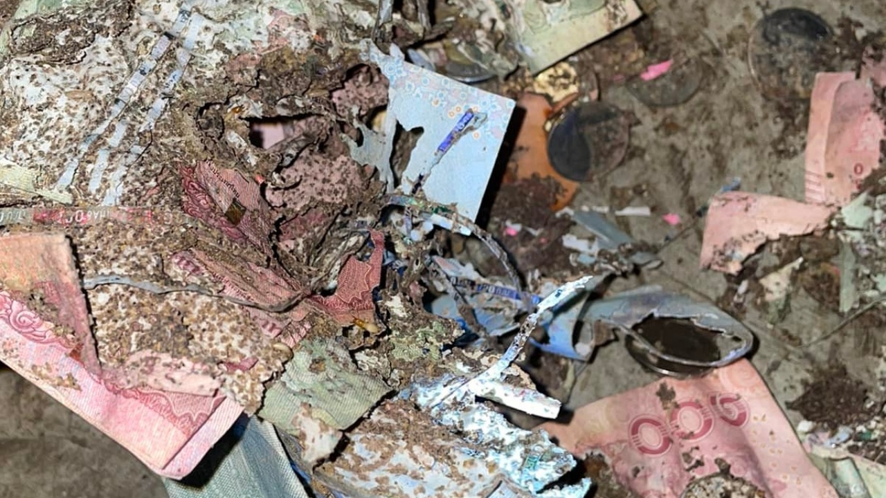 น้ำตาตกใน หยอดเงินใส่ถัง เปิดมาพบหายไปหลายหมื่น ปลวกแทะเกือบหมด