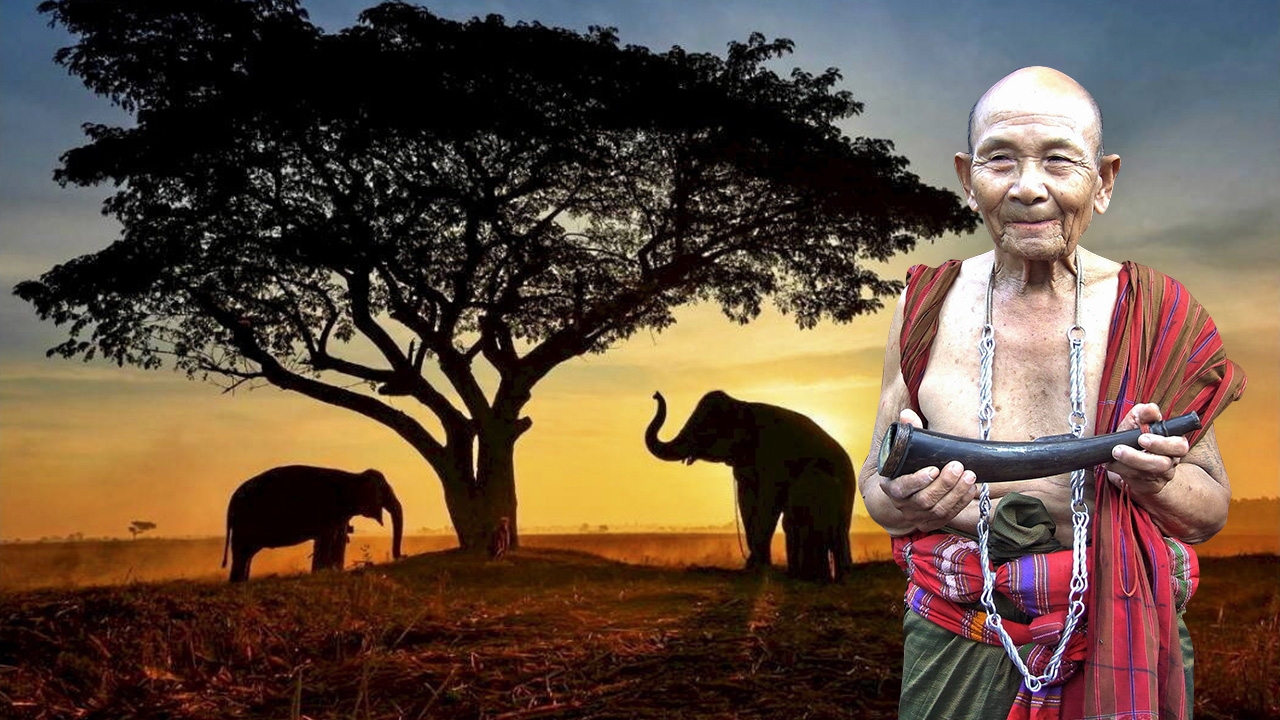 สืบสานความผูกพัน “วิถีคน-วิถีช้าง” ผ่านนิทรรศการภาพถ่าย..