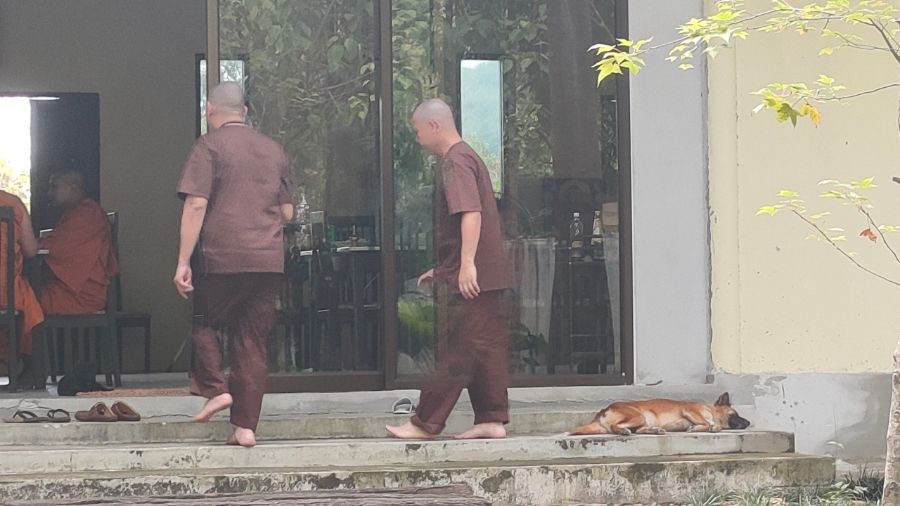 ผวา ตชด.คุกคาม โยคีปอ โยคีโรเบิร์ต ขอเก็บตัว ไม่เดินตามพระบิณฑบาต