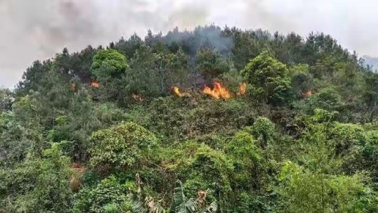 ไฟไหม้ดับสลด ยกลำ 132 ศพ เครื่องบินโบอิ้ง 737 ไชน่า อีสเทิร์นตกที่จีน