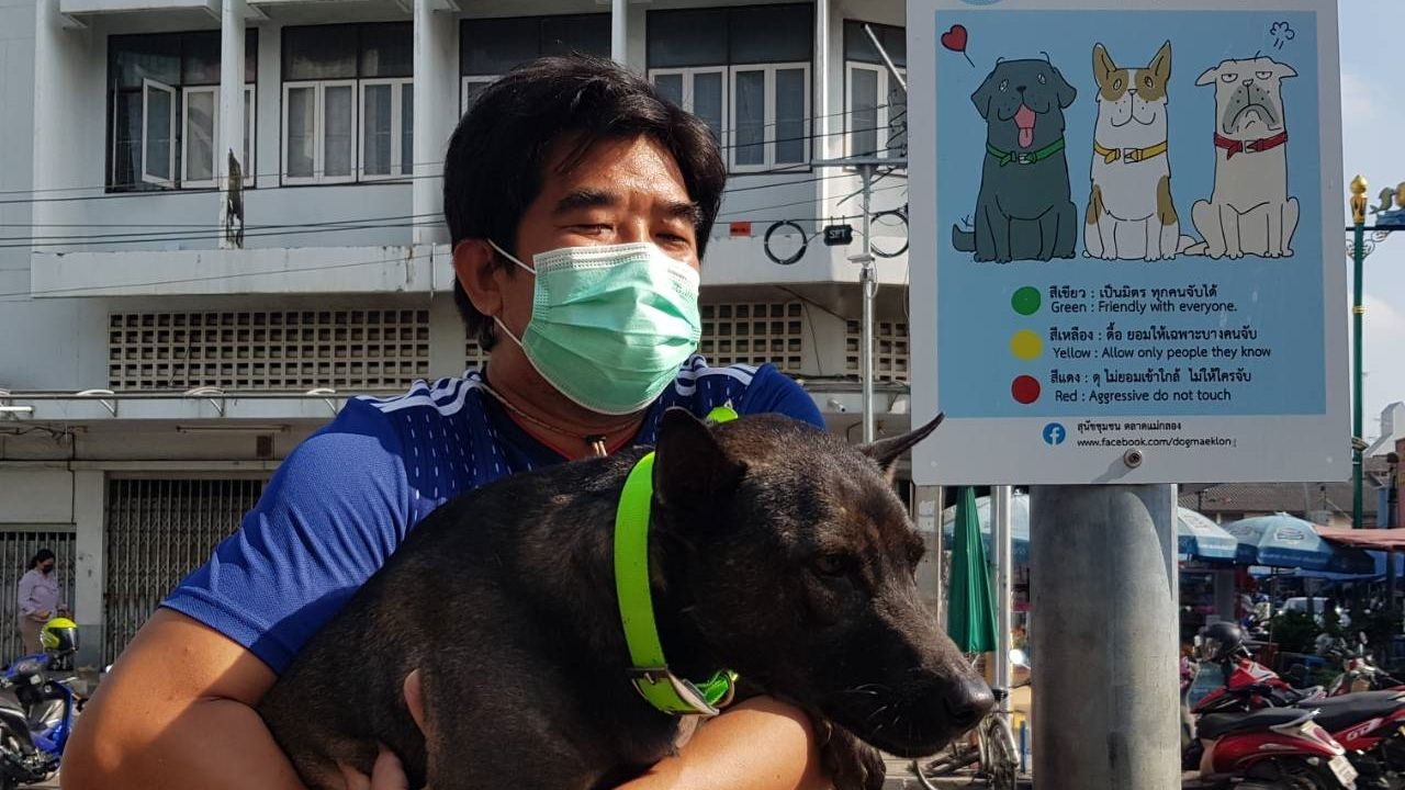 ททท.ชื่นชมจัดระเบียบสุนัขจรจัดตลาดแม่กลอง ดึงคนมาเพิ่มหนุนเที่ยวปลอดภัย 
