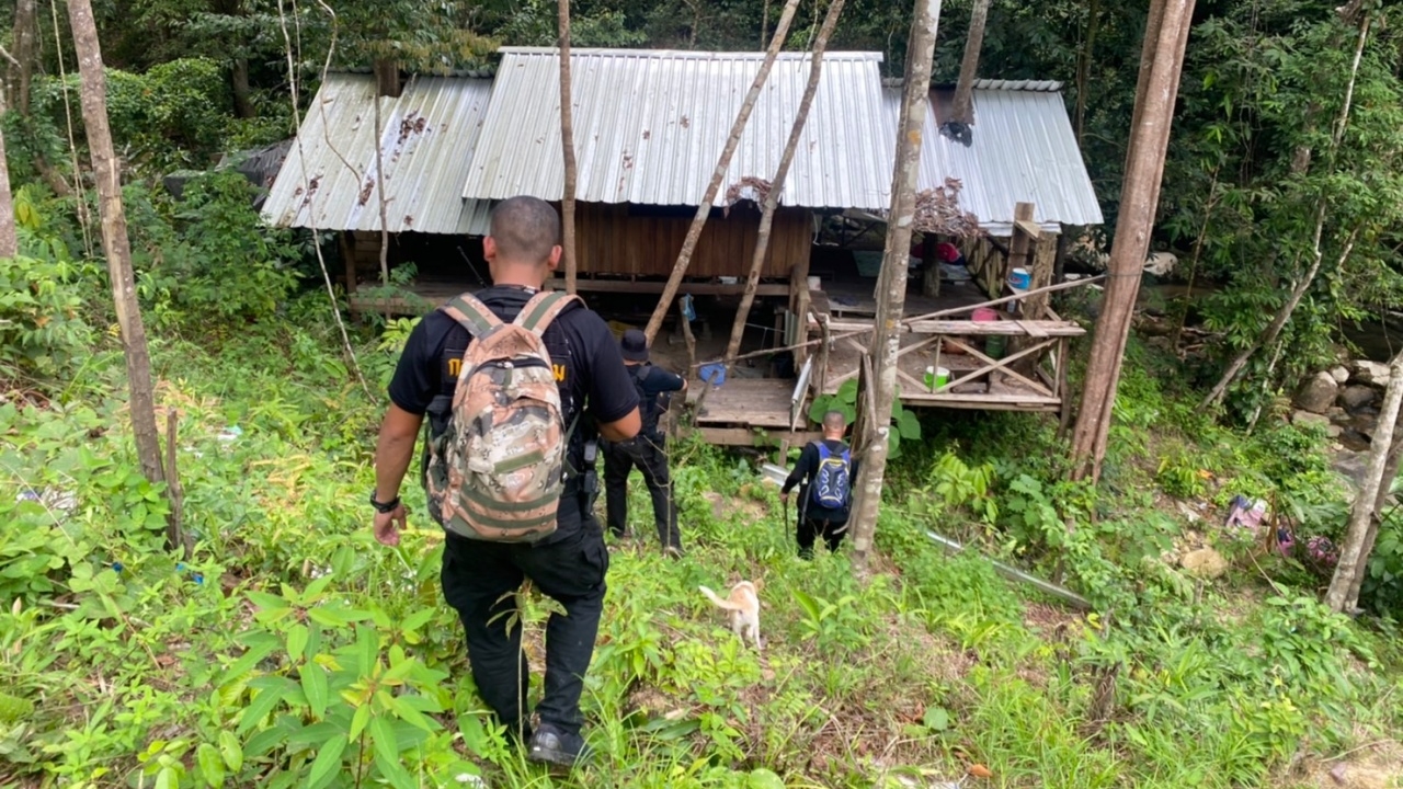 กองปราบ-ป่าไม้ ปิดเขาคาว ล่า "ฉุย รักจันทร์" พบมากบดาน คาดหนีไม่ไกล