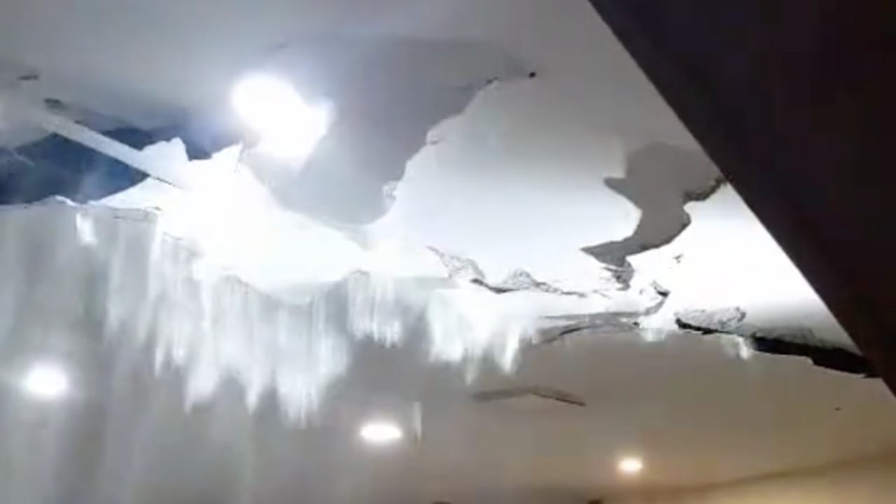 ตัวเงินตัวทองเป็นเหตุ มุดเข้าเพดานบ้าน ทำฝ้าถล่มทั้งแผง (คลิป)