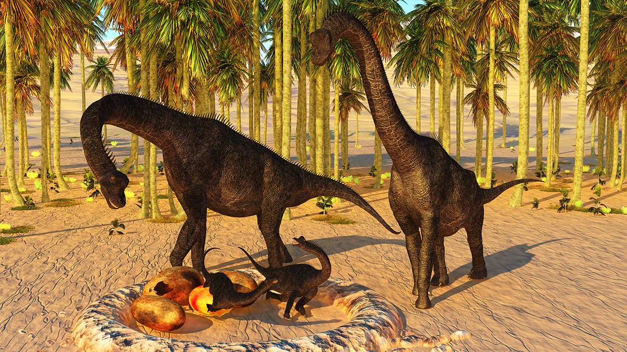 ไดโนเสาร์ซอโรพอดที่เล็กที่สุดในออสเตรเลีย