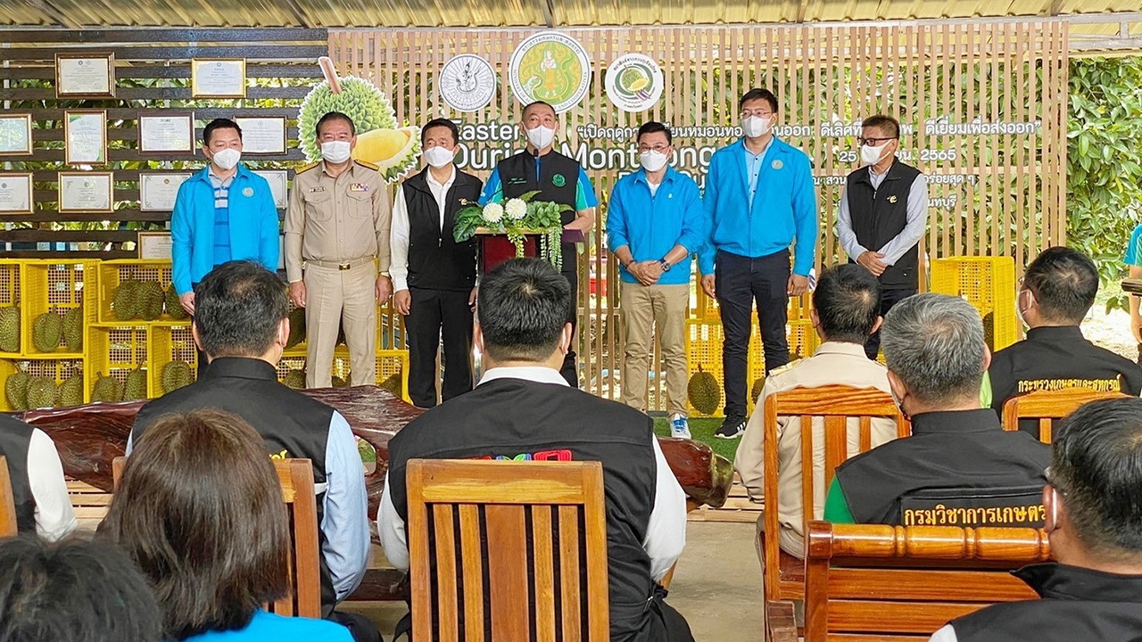 เปิดกระหึ่มฤดู “หมอนทอง” เฉลิมชัยสั่งห้ามตัด “ทุเรียนอ่อน”