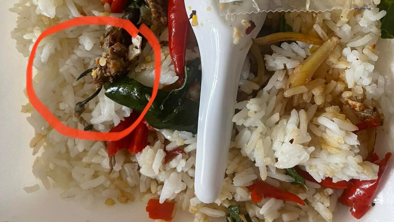 เสียววาบ สาวสั่งกะเพรากบ ได้ตะขอเบ็ดตกปลาเป็นของแถม