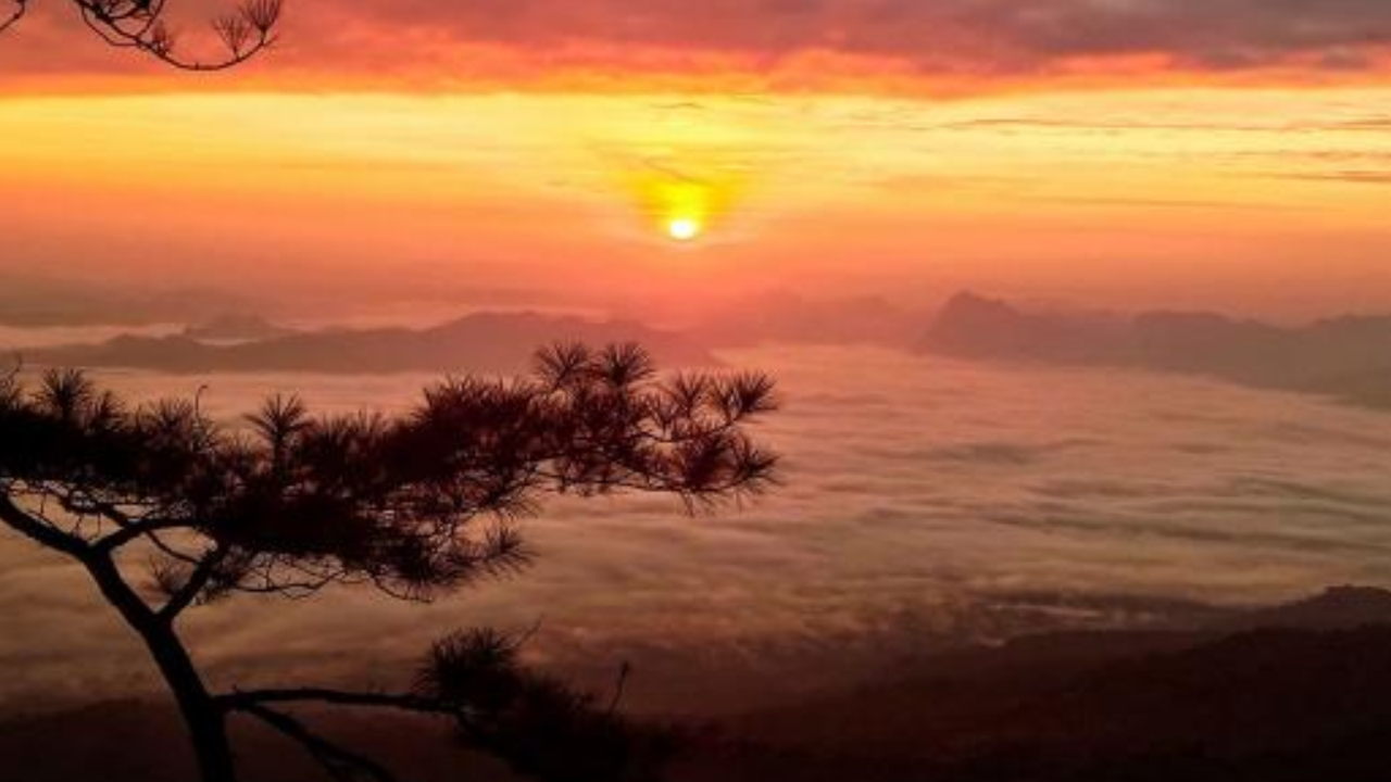 ครม.ให้ 2 อุทยานฯ 1 เขตรักษาพันธุ์สัตว์ป่า เป็น "อุทยานมรดกแห่งอาเซียน"